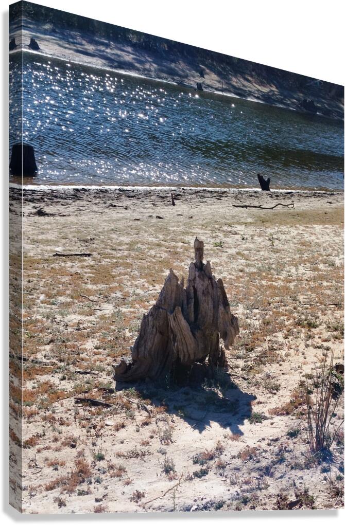 Another World X Canvas Print