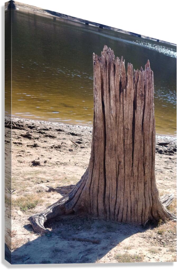 Another World IX Canvas Print