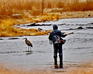 2fishing1023.