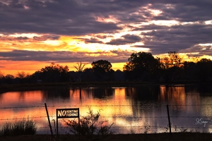NoFishn1122tp
