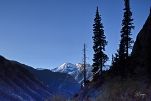 pineypeaks1022tp