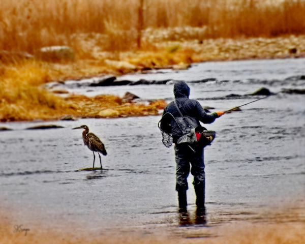 2fishing1023. Print
