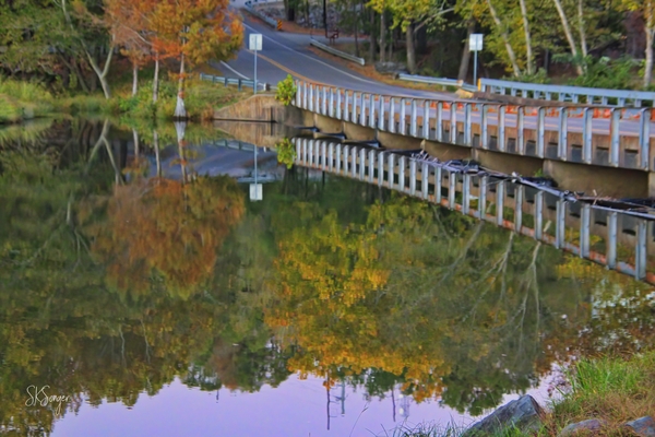 BBBridgereflection1022tp Print