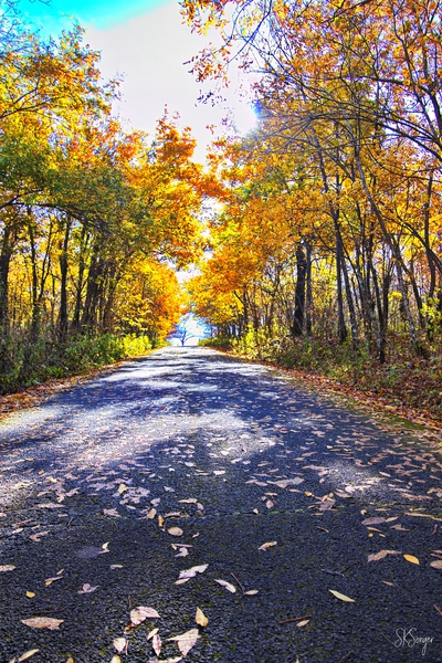 FireTowerRoad1022tp Print