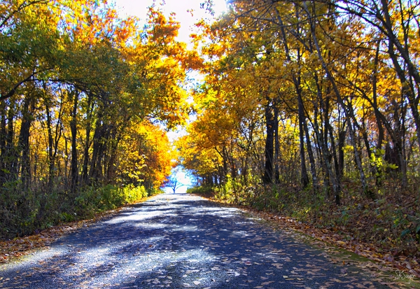 FiretowerRoad1022.1tp Print