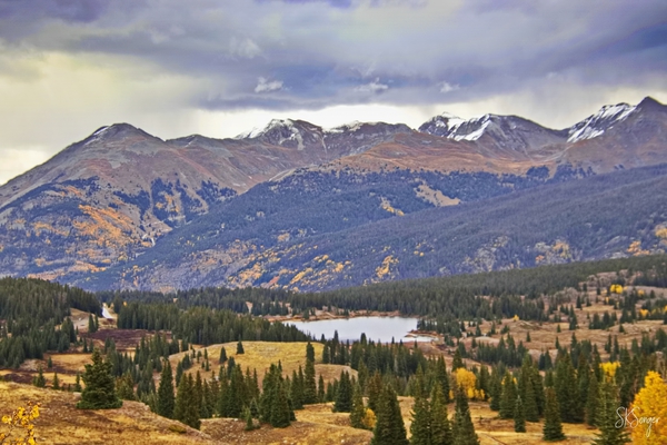 MolasPass1022tp Print