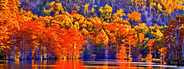 Mt.ForkColor. Print