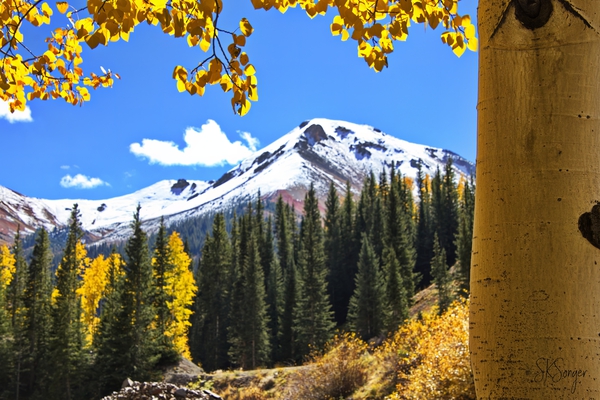 RedMtnTrunk1022tp Print