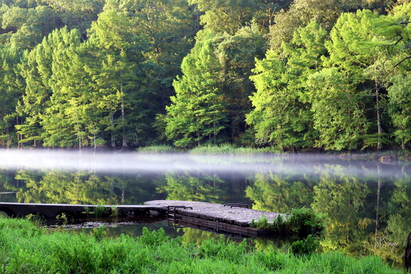 dockfog0722. Print