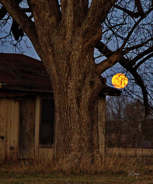 oldplacemoon. Print