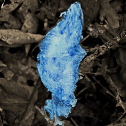 FrostFlowerInBluem