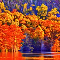 Mt.ForkColor.