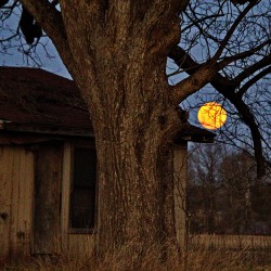 oldplacemoon.