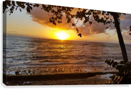 Beach View3 Canvas Print