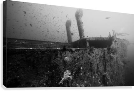 Wreck B&W Canvas Print