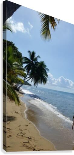 Beach View Canvas Print