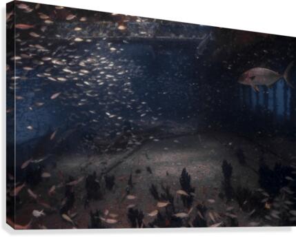 Cave 2 Canvas Print
