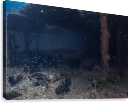 Wreck Dive Canvas Print