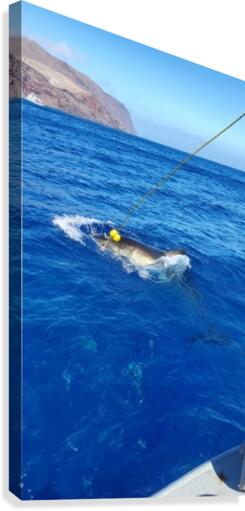 Great White Attack Canvas Print
