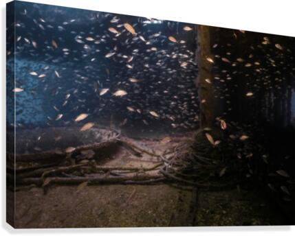 Cave Canvas Print