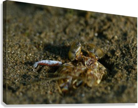 Philipines 293 Canvas Print