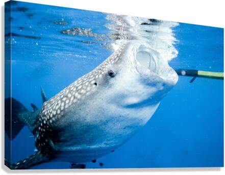 Philipines 412 Canvas Print