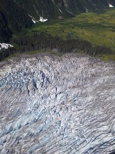 Aerial of Alaskan Glacier with Trees lining the edge