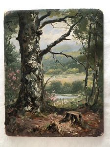 Tranquil Forest Landscape With An Imposing Tree A