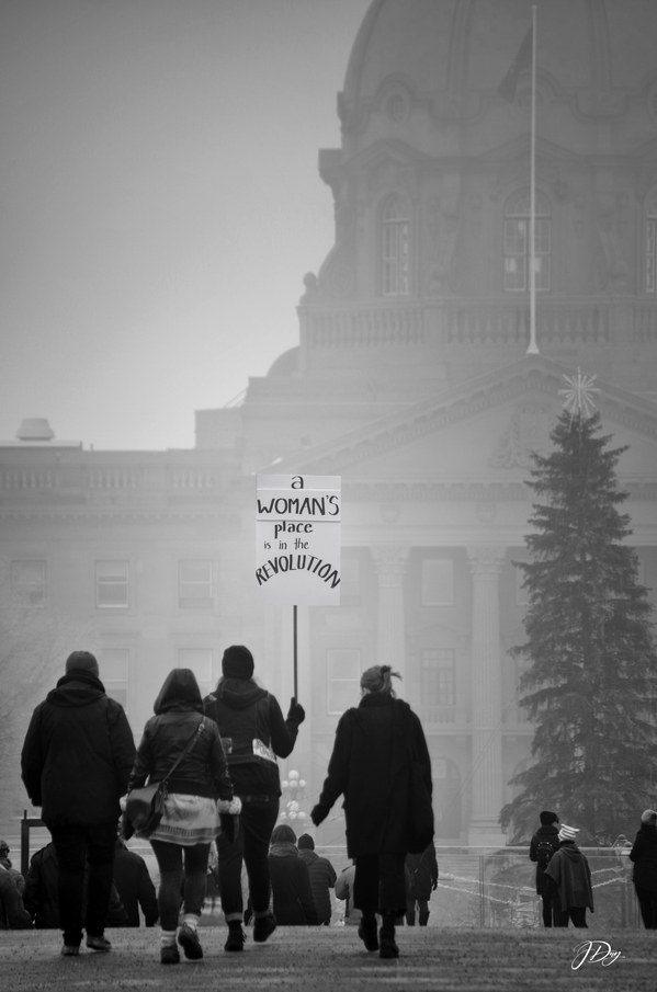 A Womans Place...is in The Revolution.  Print