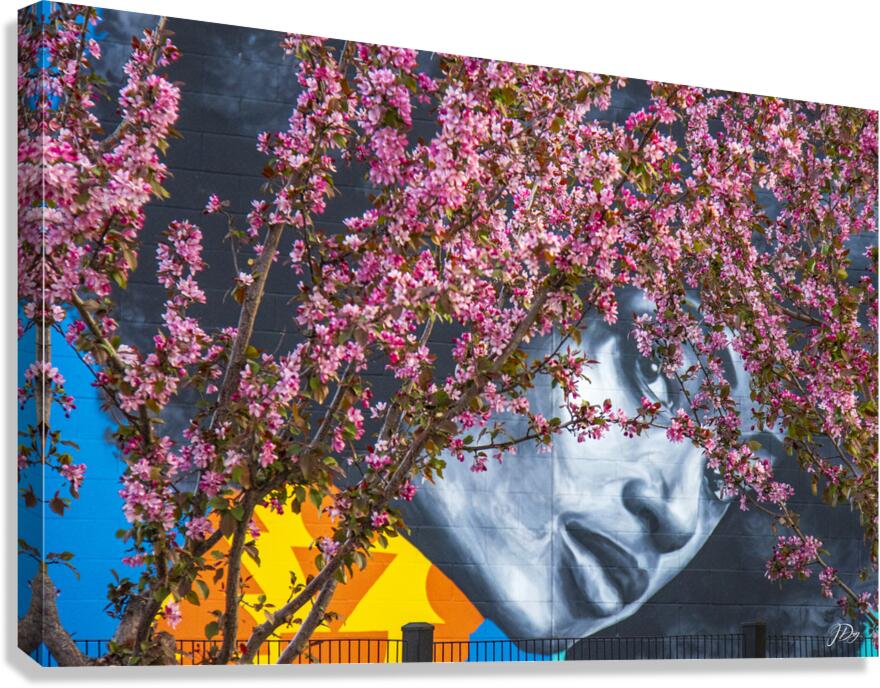 Blossoming...  Canvas Print
