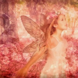 Cute Pink Fairy of Spring Fantasy Art