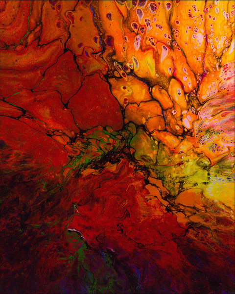 Absortexion Print