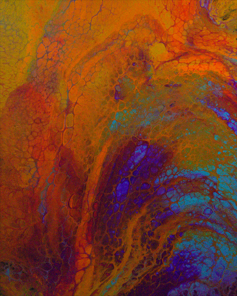 Parrot Fish Print