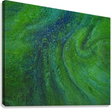 Blucide Canvas Print