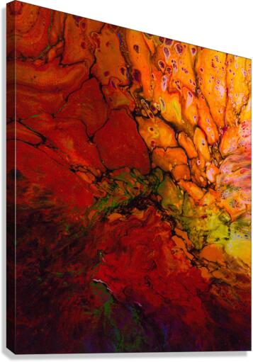 Absortexion Canvas Print