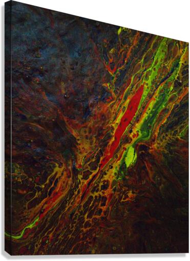 Dragon eye Canvas Print
