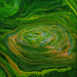 Rick n  Morty Portal