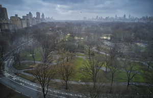 Central Park 24