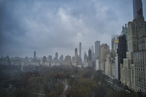 Central Park 25