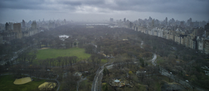 Central Park 3