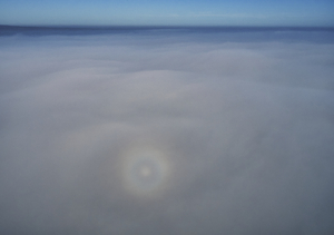 Fog 02..05.23