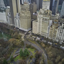 Central Park 14