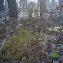 Central Park 16