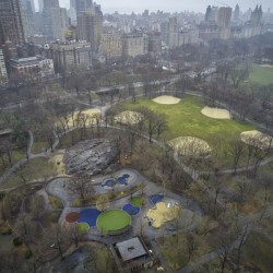 Central Park 17