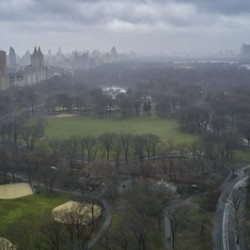 Central Park 18