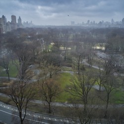 Central Park 24