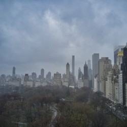Central Park 25