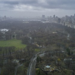 Central Park 3