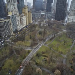 Central Park 7
