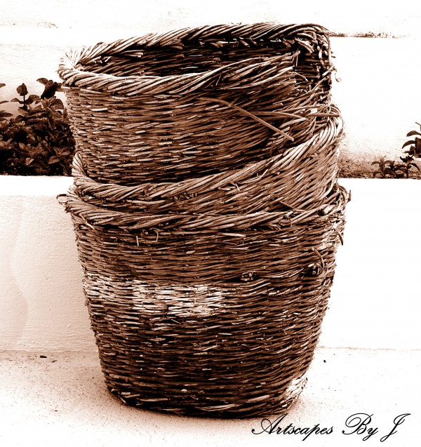 Grape Baskets Print